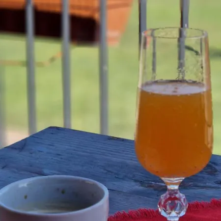 стара голица فيلة *