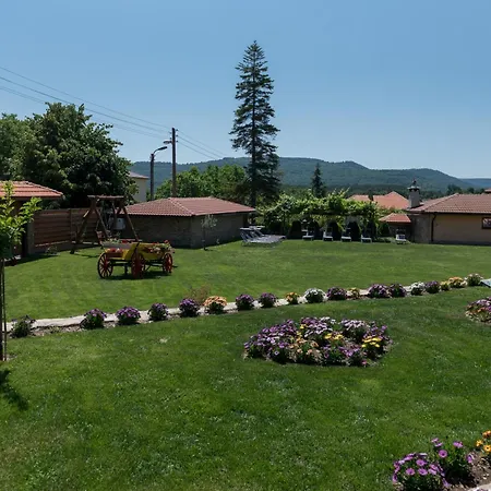 Willa стара голица *